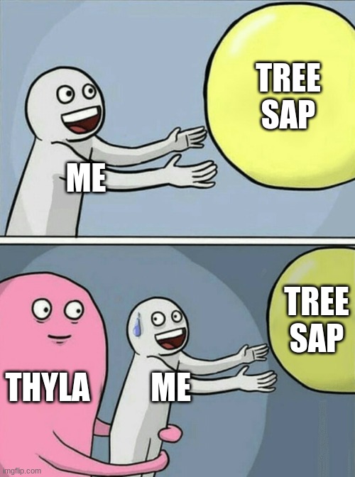 redwoods in a nutshell | TREE SAP; ME; TREE SAP; THYLA; ME | image tagged in memes,running away balloon,ark | made w/ Imgflip meme maker