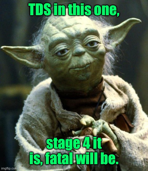 Star Wars Yoda Meme | TDS in this one, stage 4 it is, fatal will be. | image tagged in memes,star wars yoda | made w/ Imgflip meme maker