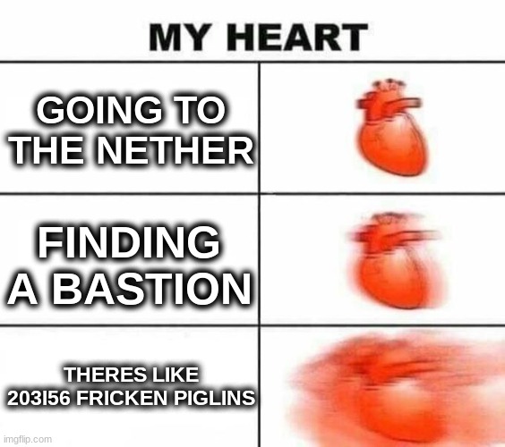 My heart blank | GOING TO THE NETHER; FINDING A BASTION; THERES LIKE 203I56 FRICKEN PIGLINS | image tagged in my heart blank | made w/ Imgflip meme maker