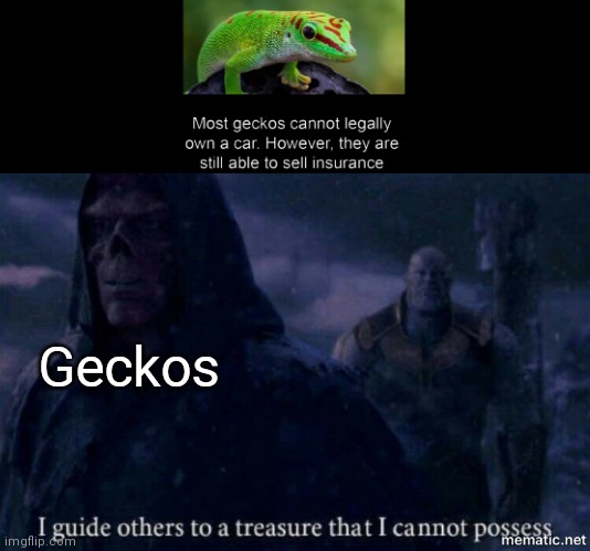 F for the geckos |  Geckos | image tagged in i guide others to a treasure i cannot possess | made w/ Imgflip meme maker