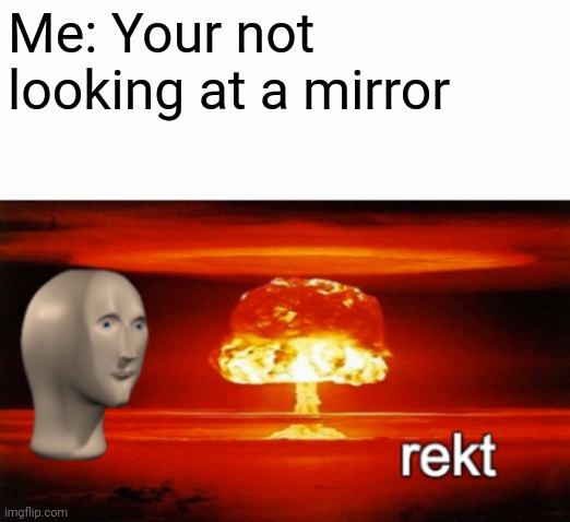 rekt w/text | Me: Your not looking at a mirror | image tagged in rekt w/text | made w/ Imgflip meme maker