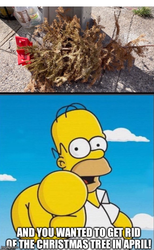 The neighborhood always supplies me with meme material… | AND YOU WANTED TO GET RID OF THE CHRISTMAS TREE IN APRIL! | image tagged in homer simpson,christmas,trash | made w/ Imgflip meme maker