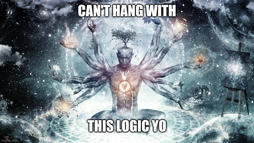 Ascendant human | CAN'T HANG WITH THIS LOGIC YO | image tagged in ascendant human | made w/ Imgflip meme maker