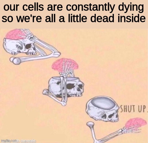 skeleton shut up meme | our cells are constantly dying so we're all a little dead inside | image tagged in funny,funny memes,memes,imgflip,lol,thisimagehasalotoftags | made w/ Imgflip meme maker