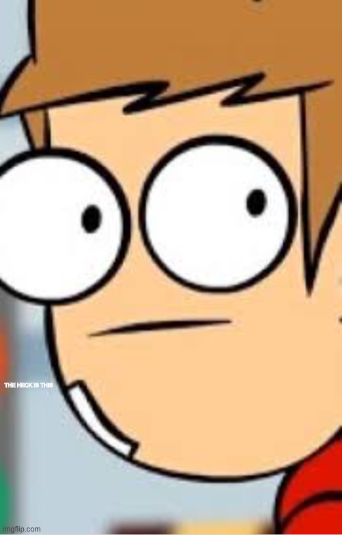 The heck is this | THE HECK IS THIS | image tagged in eddsworld tord | made w/ Imgflip meme maker