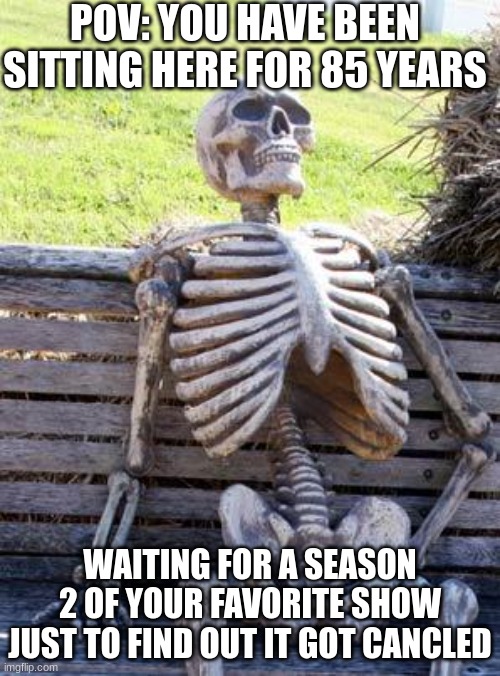 Waiting Skeleton Meme | POV: YOU HAVE BEEN SITTING HERE FOR 85 YEARS; WAITING FOR A SEASON 2 OF YOUR FAVORITE SHOW JUST TO FIND OUT IT GOT CANCLED | image tagged in memes,waiting skeleton | made w/ Imgflip meme maker