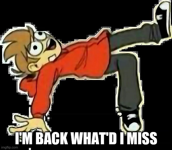 I'M BACK WHAT'D I MISS | image tagged in tord | made w/ Imgflip meme maker