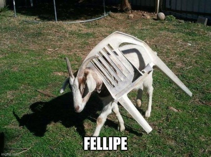 Animal stuck in weird place with spanish name, now give upvotes | FELLIPE | image tagged in fellipe,amog | made w/ Imgflip meme maker