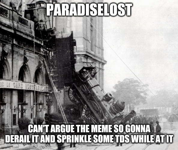 train wreck Montparnasse derailment | PARADISELOST CAN'T ARGUE THE MEME SO GONNA DERAIL IT AND SPRINKLE SOME TDS WHILE AT IT | image tagged in train wreck montparnasse derailment | made w/ Imgflip meme maker
