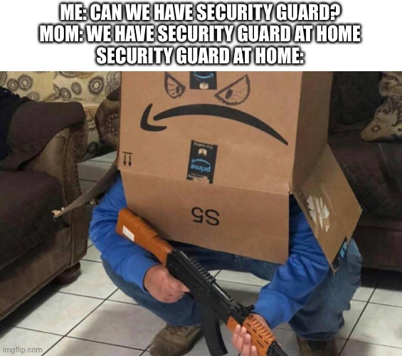 Angry Amazon Box with an AK-47 | ME: CAN WE HAVE SECURITY GUARD?
MOM: WE HAVE SECURITY GUARD AT HOME
SECURITY GUARD AT HOME: | image tagged in angry amazon box with an ak-47 | made w/ Imgflip meme maker
