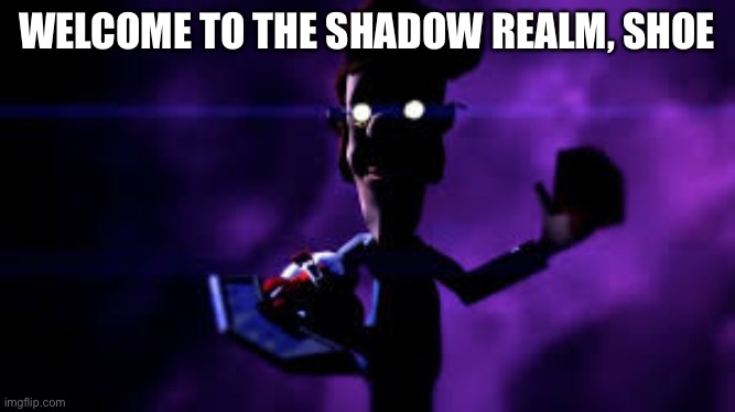 Welcome to the Shadow Realm | WELCOME TO THE SHADOW REALM, SHOE | image tagged in welcome to the shadow realm | made w/ Imgflip meme maker