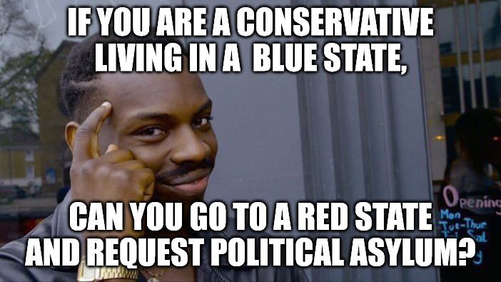 Seeking Asylum | IF YOU ARE A CONSERVATIVE LIVING IN A  BLUE STATE, CAN YOU GO TO A RED STATE AND REQUEST POLITICAL ASYLUM? | image tagged in memes,roll safe think about it | made w/ Imgflip meme maker