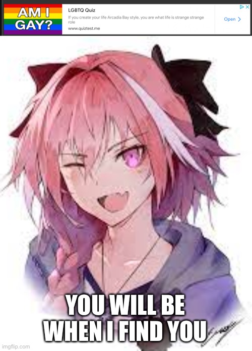 Astolfo why are you so hot? | YOU WILL BE WHEN I FIND YOU | image tagged in im not gay | made w/ Imgflip meme maker