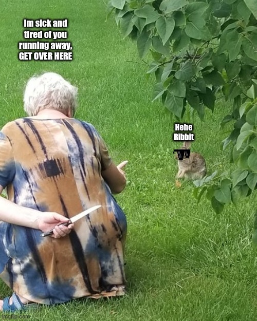 grandma hiding knife rabbit | Im sick and tired of you running away, GET OVER HERE; Hehe Ribbit | image tagged in grandma hiding knife rabbit | made w/ Imgflip meme maker