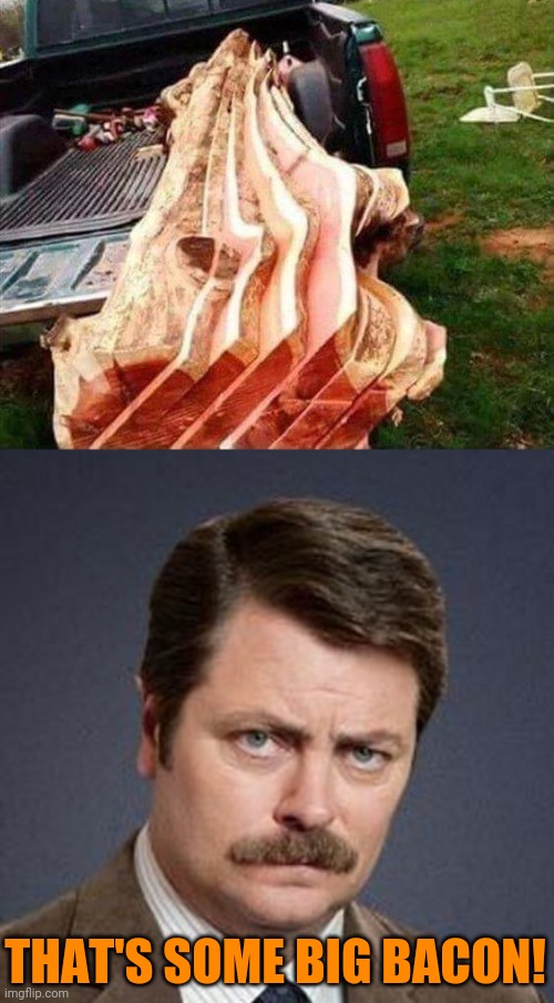 Truckload of Bacon | THAT'S SOME BIG BACON! | image tagged in ron swanson happy birthday,bacon,truck,wood | made w/ Imgflip meme maker