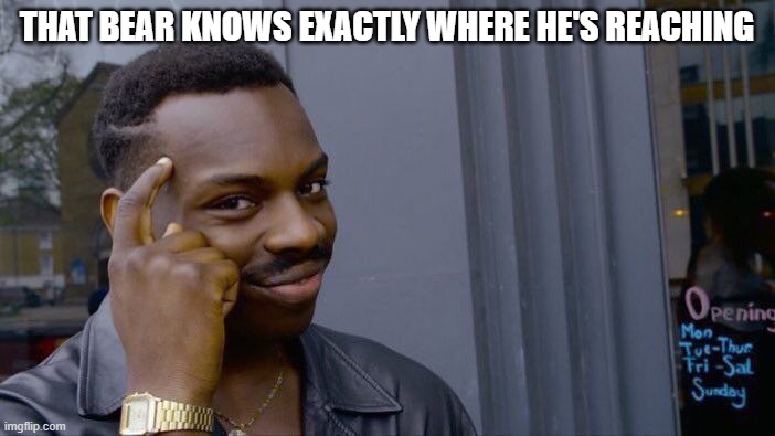Roll Safe Think About It Meme | THAT BEAR KNOWS EXACTLY WHERE HE'S REACHING | image tagged in memes,roll safe think about it | made w/ Imgflip meme maker