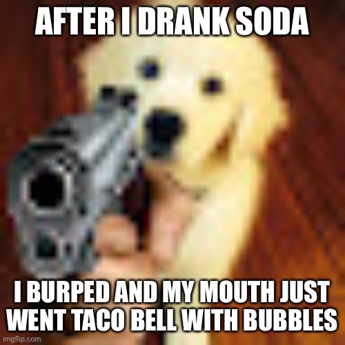 Anyways hi | AFTER I DRANK SODA; I BURPED AND MY MOUTH JUST WENT TACO BELL WITH BUBBLES | image tagged in dog gun | made w/ Imgflip meme maker