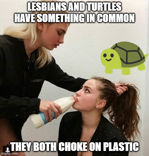 What a Commonality | LESBIANS AND TURTLES HAVE SOMETHING IN COMMON; THEY BOTH CHOKE ON PLASTIC | image tagged in lesbian couple | made w/ Imgflip meme maker