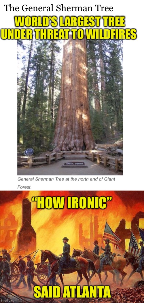 WORLD’S LARGEST TREE UNDER THREAT TO WILDFIRES; “HOW IRONIC”; SAID ATLANTA | image tagged in wildfire,general sherman,largest tree,atlanta,civil war | made w/ Imgflip meme maker