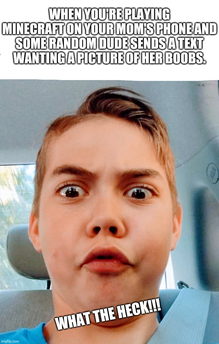 What the | WHEN YOU'RE PLAYING MINECRAFT ON YOUR MOM'S PHONE AND SOME RANDOM DUDE SENDS A TEXT WANTING A PICTURE OF HER BOOBS. WHAT THE HECK!!! | image tagged in what the | made w/ Imgflip meme maker