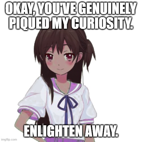 OKAY, YOU'VE GENUINELY PIQUED MY CURIOSITY. ENLIGHTEN AWAY. | made w/ Imgflip meme maker