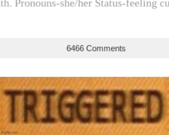 triggered | image tagged in idk | made w/ Imgflip meme maker