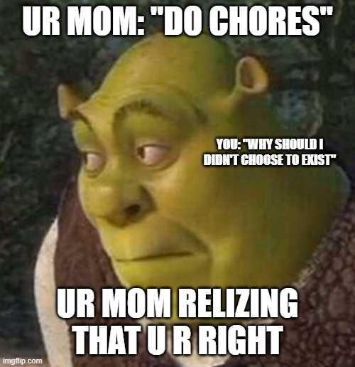 HEHE | UR MOM: "DO CHORES"; YOU: "WHY SHOULD I DIDN'T CHOOSE TO EXIST"; UR MOM RELIZING THAT U R RIGHT | image tagged in shrek | made w/ Imgflip meme maker