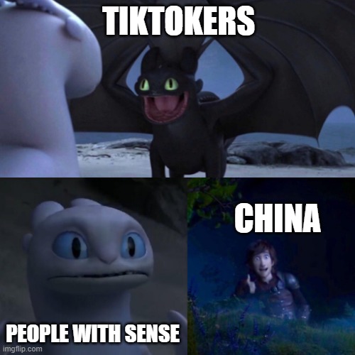 Toothless thumbs up | TIKTOKERS; CHINA; PEOPLE WITH SENSE | image tagged in toothless thumbs up | made w/ Imgflip meme maker