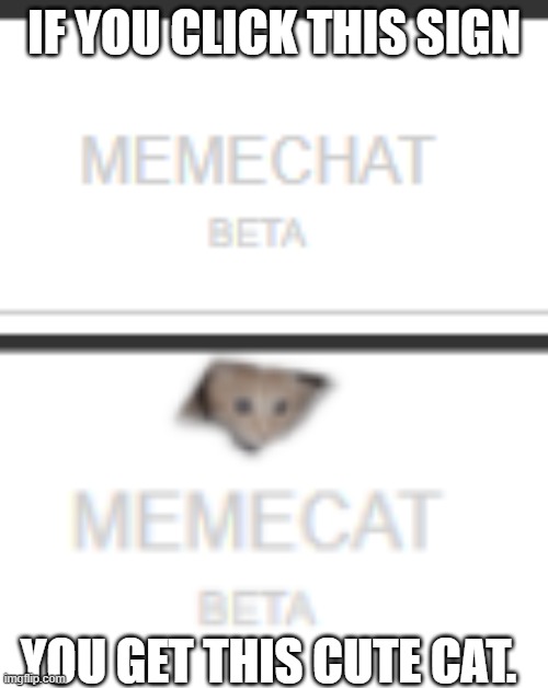 IF YOU CLICK THIS SIGN; YOU GET THIS CUTE CAT. | made w/ Imgflip meme maker
