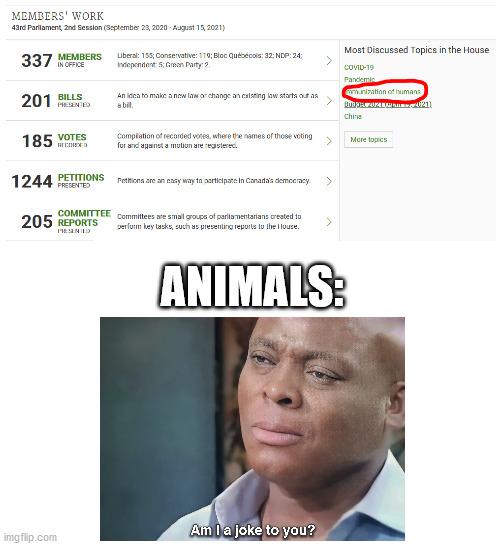really? | ANIMALS: | image tagged in am i a joke to you | made w/ Imgflip meme maker