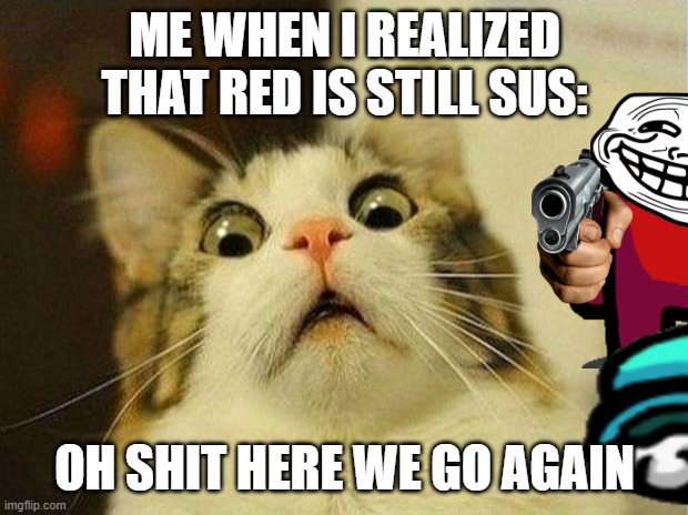 Red sus | ME WHEN I REALIZED THAT RED IS STILL SUS:; OH SHIT HERE WE GO AGAIN | image tagged in memes,scared cat,red sus,red,sus | made w/ Imgflip meme maker