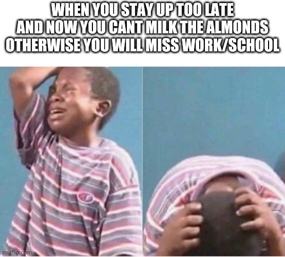 Crying kid | WHEN YOU STAY UP TOO LATE AND NOW YOU CANT MILK THE ALMONDS OTHERWISE YOU WILL MISS WORK/SCHOOL | image tagged in crying kid,no context,almonds,milk,stop reading the tags | made w/ Imgflip meme maker