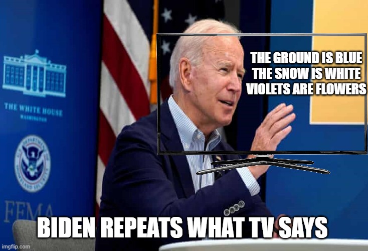 The Presidents Guide on how he speaks well. | THE GROUND IS BLUE
THE SNOW IS WHITE
VIOLETS ARE FLOWERS; BIDEN REPEATS WHAT TV SAYS | image tagged in political meme | made w/ Imgflip meme maker