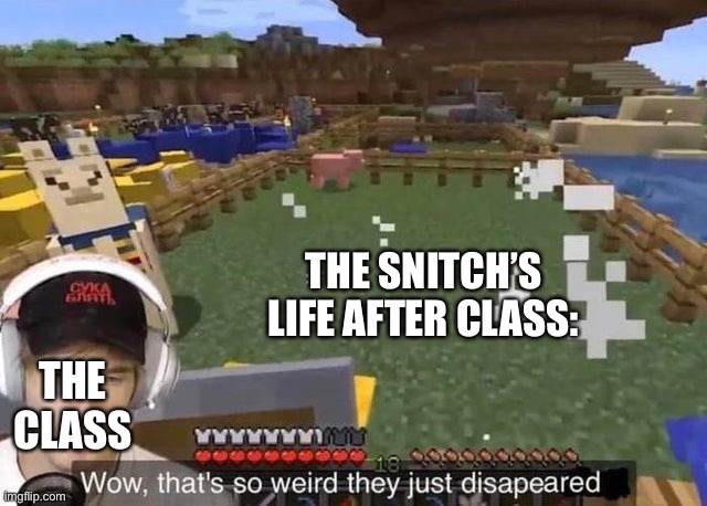 Wow that's so weird they just disappeared | THE SNITCH’S LIFE AFTER CLASS: THE CLASS | image tagged in wow that's so weird they just disappeared | made w/ Imgflip meme maker