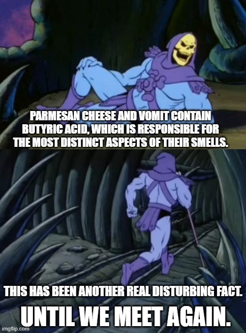 Disturbing Facts Skeletor | PARMESAN CHEESE AND VOMIT CONTAIN BUTYRIC ACID, WHICH IS RESPONSIBLE FOR THE MOST DISTINCT ASPECTS OF THEIR SMELLS. THIS HAS BEEN ANOTHER REAL DISTURBING FACT. UNTIL WE MEET AGAIN. | image tagged in disturbing facts skeletor | made w/ Imgflip meme maker