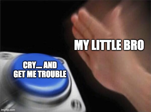 little bro | MY LITTLE BRO; CRY.... AND GET ME TROUBLE | image tagged in memes,blank nut button | made w/ Imgflip meme maker