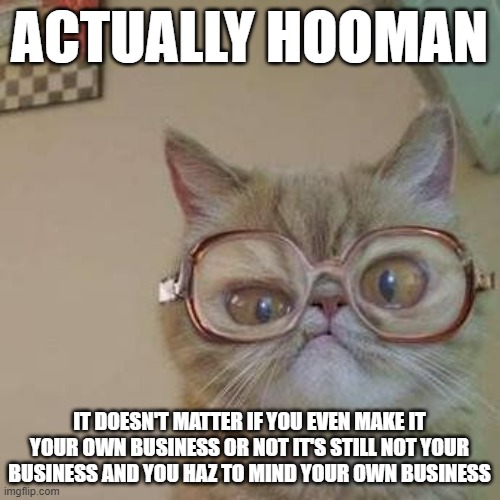 Funny Cat with Glasses | ACTUALLY HOOMAN; IT DOESN'T MATTER IF YOU EVEN MAKE IT YOUR OWN BUSINESS OR NOT IT'S STILL NOT YOUR BUSINESS AND YOU HAZ TO MIND YOUR OWN BUSINESS | image tagged in funny cat with glasses,memes,cats,mind your own business | made w/ Imgflip meme maker