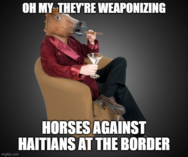 A rein is a whip of course of course | OH MY  THEY'RE WEAPONIZING; HORSES AGAINST HAITIANS AT THE BORDER | image tagged in horsehead | made w/ Imgflip meme maker