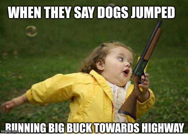 Chubby Bubbles Girl | WHEN THEY SAY DOGS JUMPED; RUNNING BIG BUCK TOWARDS HIGHWAY | image tagged in memes,chubby bubbles girl | made w/ Imgflip meme maker
