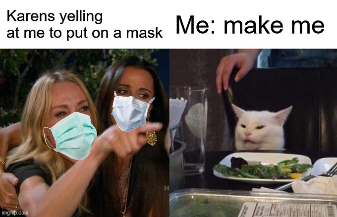 Karens | Karens yelling at me to put on a mask; Me: make me | image tagged in memes,woman yelling at cat | made w/ Imgflip meme maker