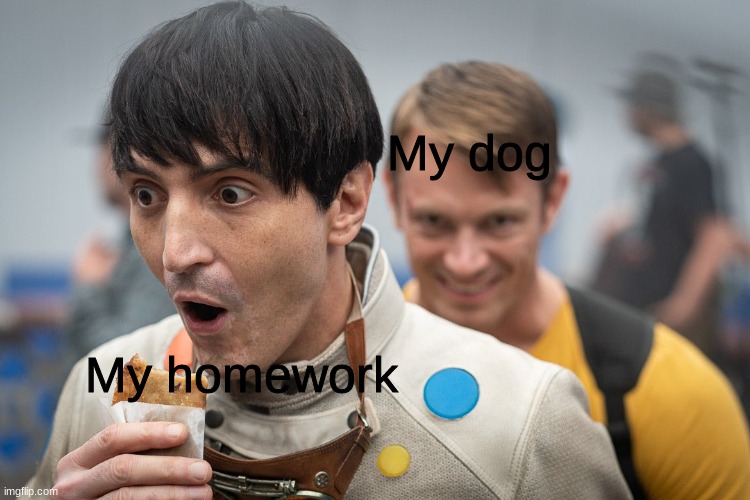 My doggy ate my homework | My dog; My homework | image tagged in funny,humor | made w/ Imgflip meme maker