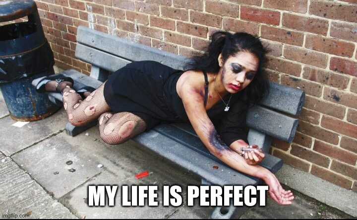Junkie | MY LIFE IS PERFECT | image tagged in junkie | made w/ Imgflip meme maker