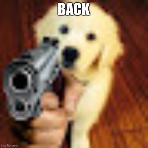 Dog gun | BACK | image tagged in dog gun | made w/ Imgflip meme maker