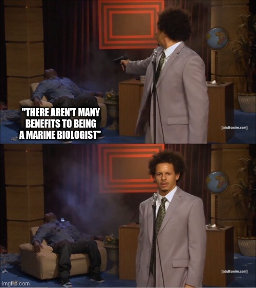 it had to be done | "THERE AREN'T MANY BENEFITS TO BEING A MARINE BIOLOGIST" | image tagged in memes,who killed hannibal | made w/ Imgflip meme maker