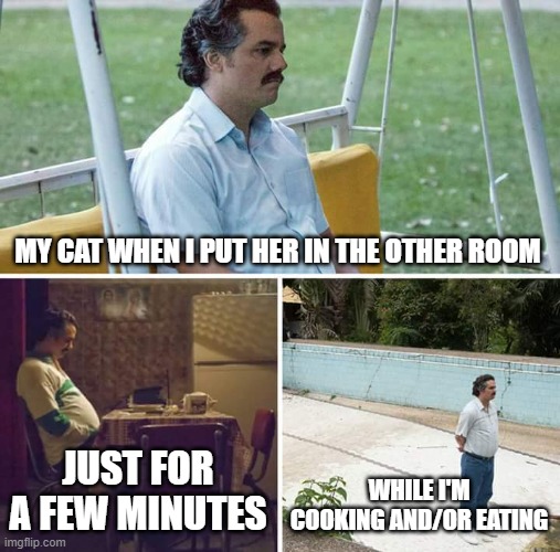 Eternity | MY CAT WHEN I PUT HER IN THE OTHER ROOM; JUST FOR A FEW MINUTES; WHILE I'M COOKING AND/OR EATING | image tagged in memes,sad pablo escobar | made w/ Imgflip meme maker