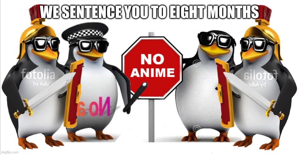 Anti anime court | WE SENTENCE YOU TO EIGHT MONTHS | image tagged in anti anime court | made w/ Imgflip meme maker