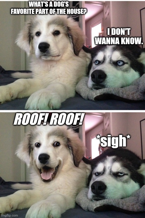 Bad pun dogs |  WHAT'S A DOG'S FAVORITE PART OF THE HOUSE? I DON'T WANNA KNOW. ROOF! ROOF! *sigh* | image tagged in bad pun dogs,house,dogs | made w/ Imgflip meme maker