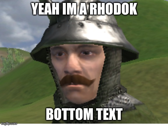 Im a Rhodok main | YEAH IM A RHODOK; BOTTOM TEXT | image tagged in memes,pc gaming | made w/ Imgflip meme maker