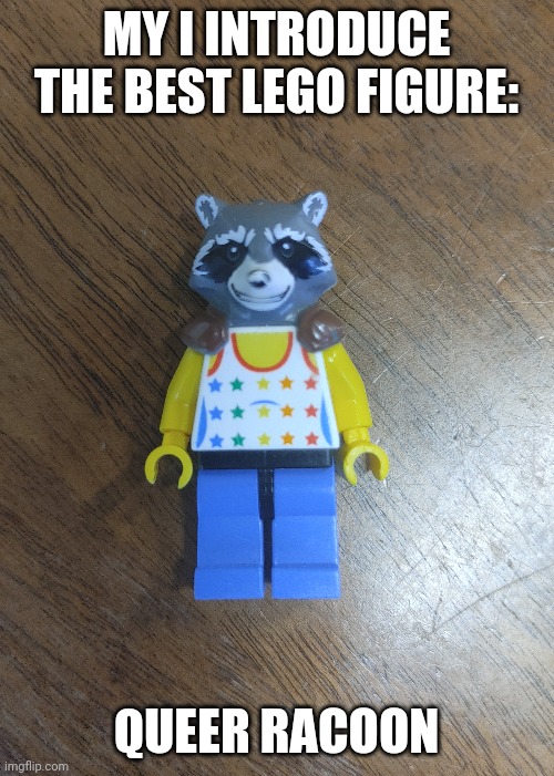 Racon | MY I INTRODUCE THE BEST LEGO FIGURE:; QUEER RACOON | image tagged in lego | made w/ Imgflip meme maker