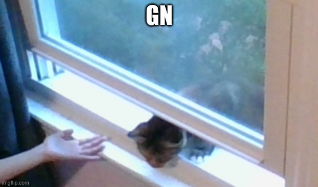 GN | made w/ Imgflip meme maker